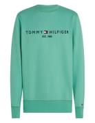 Tommy Logo Sweatshirt Tommy Hilfiger Green