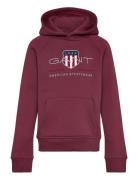 Archive Shield Hoodie GANT Burgundy