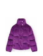 Hansine Molo Purple