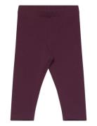 Leggings Brushed Inside Basic Lindex Purple