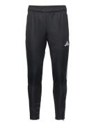 Tiro23 Club Training Pant Men Adidas Performance Black