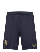 Juventus 24/25 Third Short Adidas Performance Navy