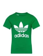 Trefoil Tee Adidas Originals Green