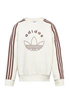 Crew Adidas Originals Beige