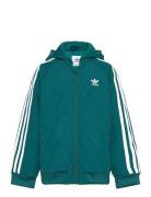 Bomber Jacket Adidas Originals Green