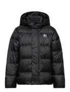 Down Jacket Elo Adidas Originals Black