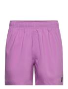 Solid Clx Swim Short Short Length Adidas Sportswear Purple