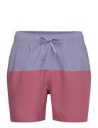 Colorblock Clx Swim Shorts Short Length Adidas Sportswear Purple