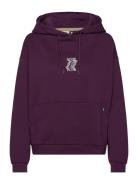 Lify Hoodie PICTURE ORGANIC CLOTHING Purple