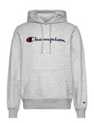 Hooded Sweatshirt Champion Grey