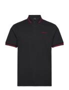 Hs Tipped Polo Hackett London Black