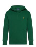 Fleece Hoodie Ralph Lauren Kids Green