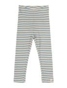 Legging Modal Striped Petit Piao Blue