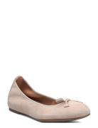 Acor25Ks UNISA Beige