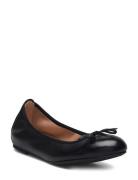 Acor_25_Nto UNISA Black