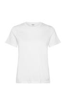 Centre T-Shirt Björn Borg White
