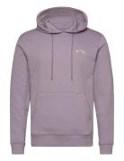 Arch Po Lt Billabong Purple