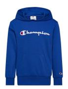 Hooded Sweatshirt Champion Blue