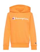 Hooded Sweatshirt Champion Orange