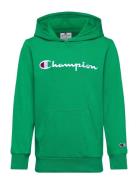 Hooded Sweatshirt Champion Green