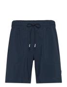 Play Shorts Men Head Navy