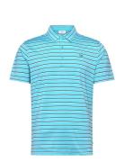 Winchester Polo Calvin Klein Golf Blue