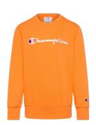 Crewneck Sweatshirt Champion Orange