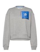 Ksenia Originals Label Sweatshirt Adidas Originals Grey