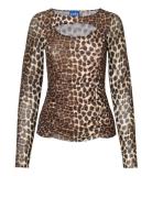 Taracras Blouse Cras Brown