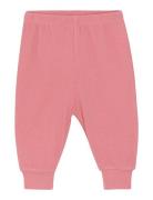 Pants - Solid CeLaVi Pink