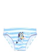 Swimsuit Bluey Blue