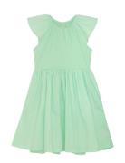 Dress Rib Creamie Green
