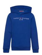 Essential Hoodie Tommy Hilfiger Blue