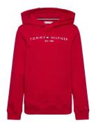 U Corp Logo Ess Hoodie Tommy Hilfiger Red