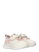 Tommy Hilfiger Low Cut Lace-Up/Velcro Sneaker Tommy Hilfiger White