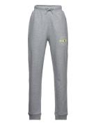 Rene Cot Pe Sw Vin Jr B Pants VINSON Grey