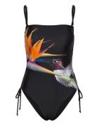 Colibrí P. Desigual Black
