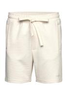 Tim Waff Gabba Cream