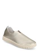 Tulip Flats Ilse Jacobsen Silver