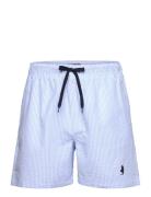 Mcs Swimshorts Irving Men MCS Blue
