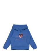 Archive Shield Raglan Hoodie GANT Blue