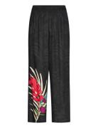 Colibrí Pant Desigual Black