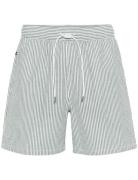 Maswimmer Matinique Green