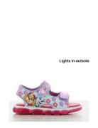 Pawpatrol Sandal Leomil Purple