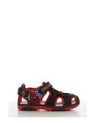 Spiderman Sandal Leomil Black