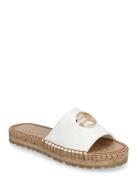 Collie Cocco Replay White