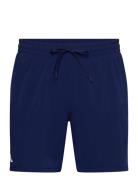 Ergo Shorts Adidas Tennis Navy