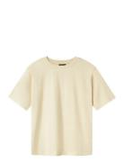 Nlndandilion Ss L Top LMTD Beige