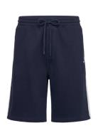 Hco. Guys Shorts Hollister Navy