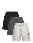 Hco. Guys Shorts Hollister Grey